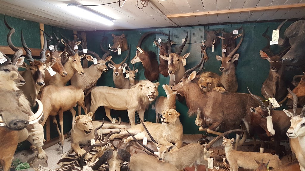 Traders Rendezvous Pawn Shop in Gunnison 516 W Tomichi Ave